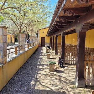 Big raptor perches -Tierra Rapaz (2024)