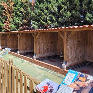 Hawk and falcon perches -Tierra Rapaz (2024)