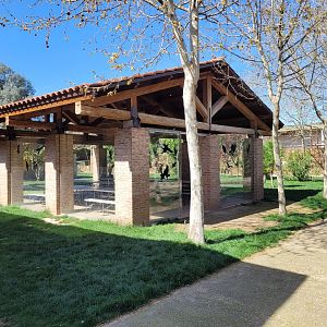 Restauration area -Tierra Rapaz (2024)