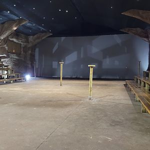 "La gruta de los búhos" indoors -Tierra Rapaz (2024)