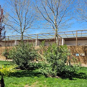 Big aviaries view -Tierra Rapaz (2024)