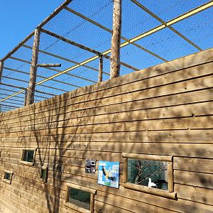 Big aviaries -Tierra Rapaz (2024)