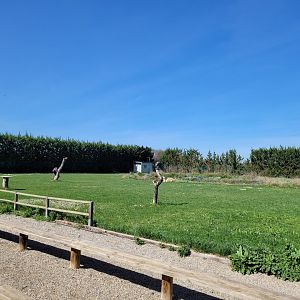 Demonstration lawn -Tierra Rapaz (2024)