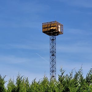 Raptor release tower -Tierra Rapaz (2024)