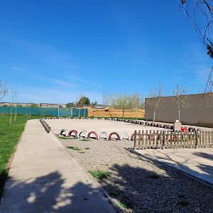 Playground -Tierra Rapaz (2024)