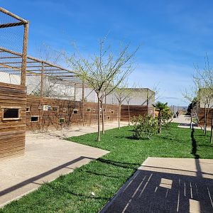 Big aviaries -Tierra Rapaz (2024)