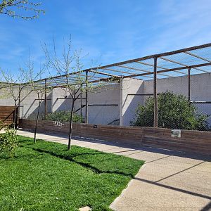 Big aviaries view -Tierra Rapaz (2024)