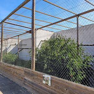 Red-legged seriema exhibit -Tierra Rapaz (2024)