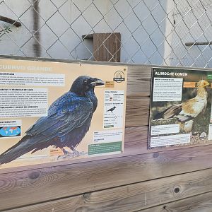 Signae example -Tierra Rapaz (2024)