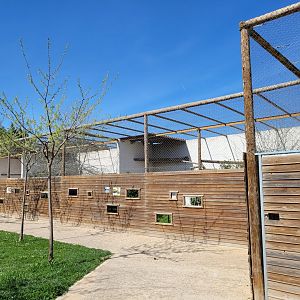 Big aviaries view -Tierra Rapaz (2024)
