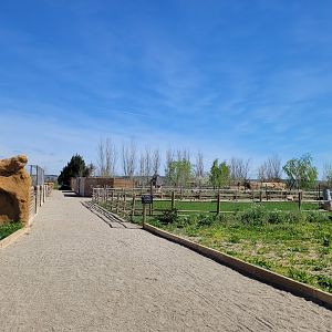 View of the african area -Tierra Rapaz (2024)