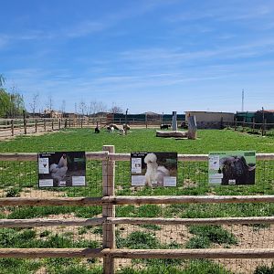 Farm exhibit -Tierra Rapaz (2024)
