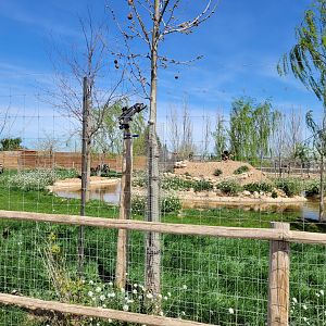 Kafue flats lechwe and Grant's zebra exhibit -Tierra Rapaz (2024)