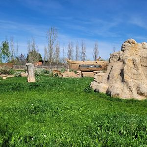 Kafue flats lechwe and Grant's zebra exhibit -Tierra Rapaz (2024)
