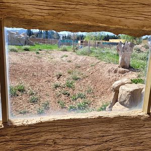 Kafue flats lechwe and Grant's zebra exhibit -Tierra Rapaz (2024)