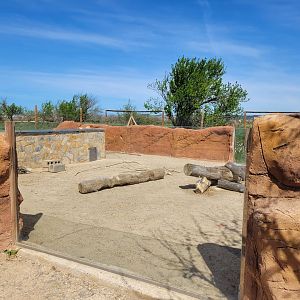 Crested porcupine exhibit -Tierra Rapaz (2024)