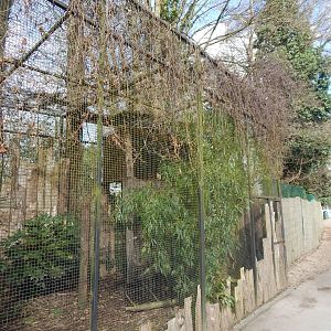 Spectacled owl aviary 040324