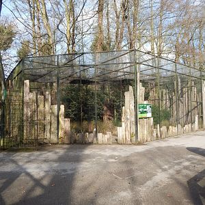 Snowy owl aviary 040324