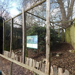 Edwards's pheasant aviary 040324
