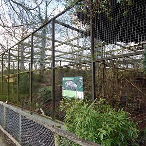 Fishing cat habitat 040324