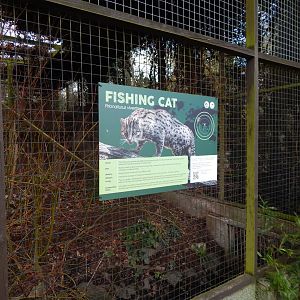 Fishing cat signage 040324
