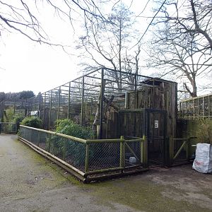 Nepalese red panda habitat 040324