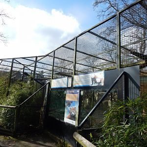 Nepalese red panda habitat 040324