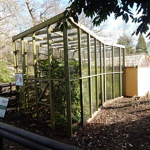 Tamarin Trail - Golden lion tamarin habitat 040324