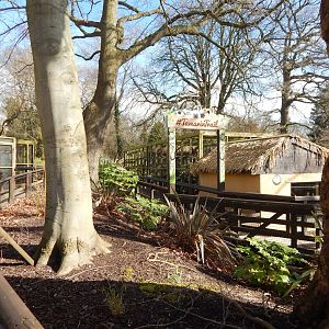 Tamarin Trail 040324