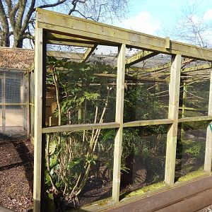 Tamarin Trail - Goeldi's monkey habitat 040324