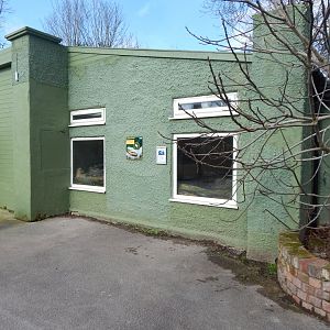 Reptile House - Common anaconda habitat viewing windows 040324