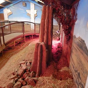 Meerkat and Cape porcupine habitat - indoors 040324