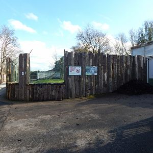 Sulawesi crested macaque habitat 040324