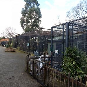 Parrot aviaries 040324