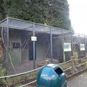 Parrot aviaries 040324