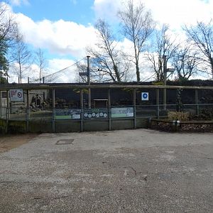 Enclosure for Nene and Laysan duck 040324