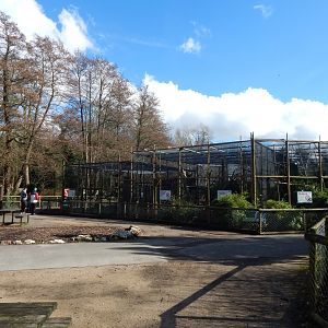 Primate enclosures 040324