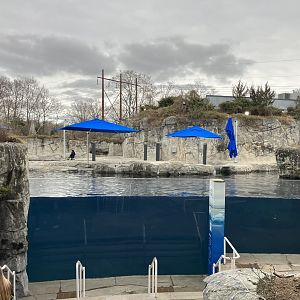 Beluga Whale Exhibit