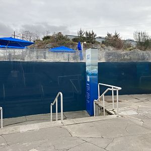 Beluga Whale Exhibit