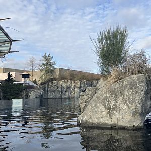 Beluga Whale Exhibit