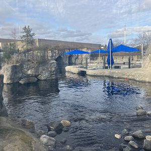 Beluga Whale Exhibit