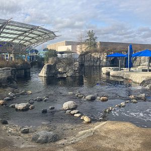Beluga Whale Exhibit