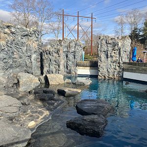 Northern Fur Seal/Spotted Seal/Harbor Seal Exhibit