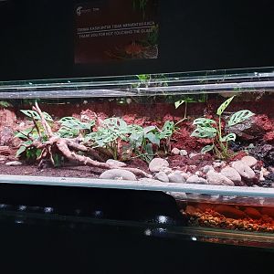 Unknown Enclosure - Museum Komodo