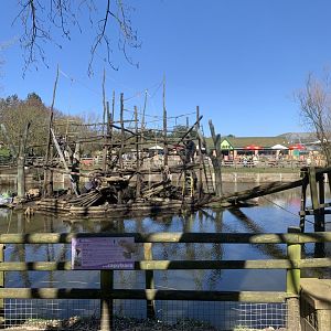 Spider monkey island revamp