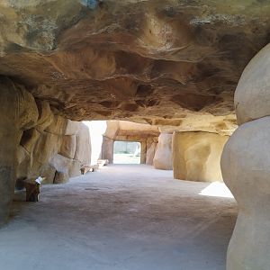 Midbarium - Kopje area