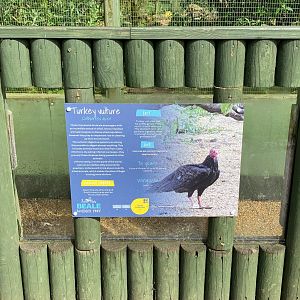 New turkey vulture sign, Beale park, UK