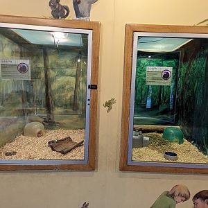 Guinea pig exhibits in the Discovery House