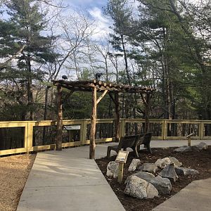New Coyote Exhibit - viewing area