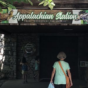 New Appalachian Station Entry Signage